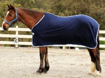 Polar Fleece Rug