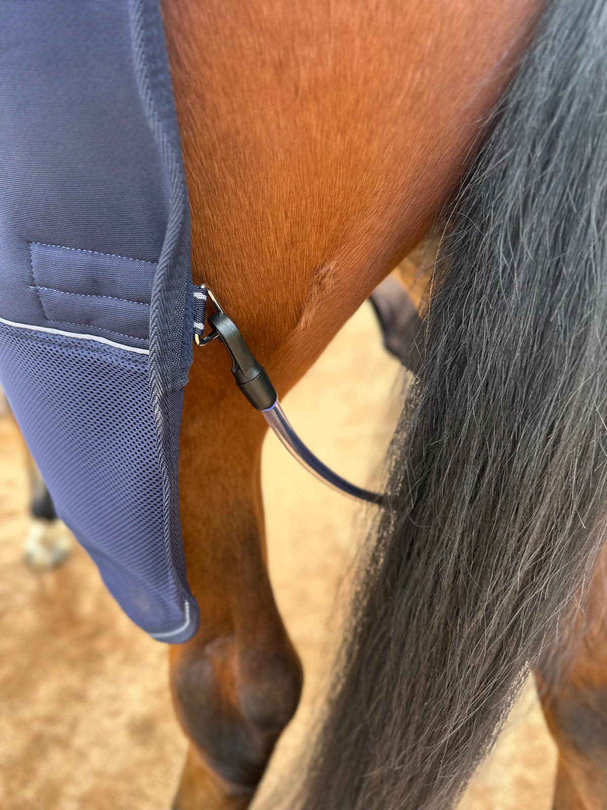 EquestPro Drying Rug