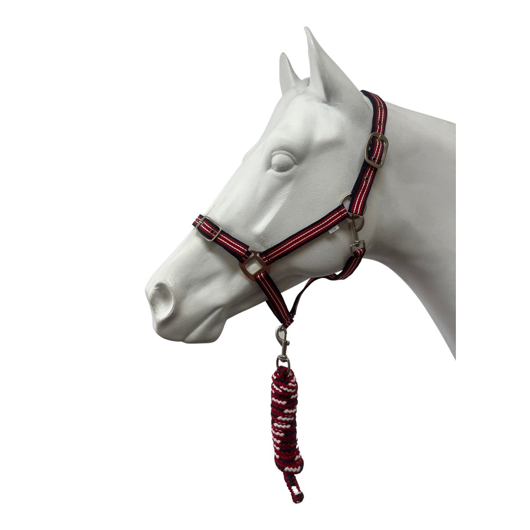 Eureka Halter & Lead
