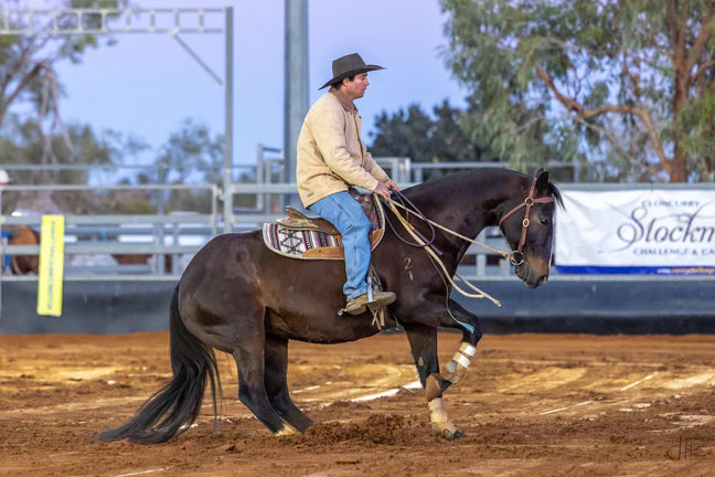 Toprail Contoured Shape Saddle Pad