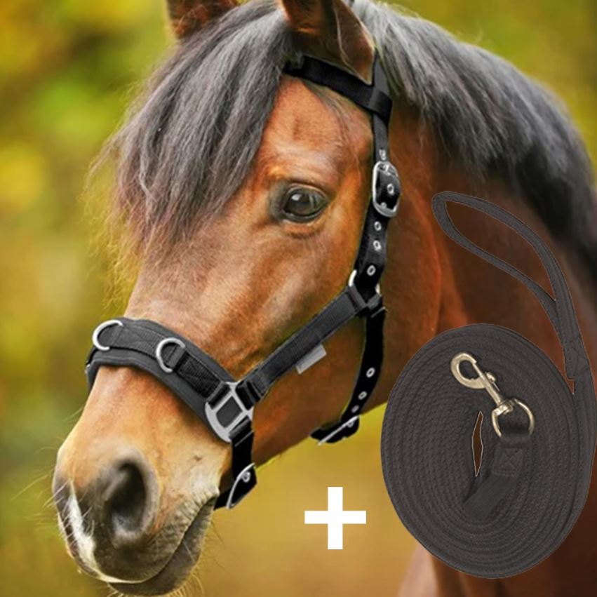 LUNGING CAVESSON & ROPE SET BLACK FULL