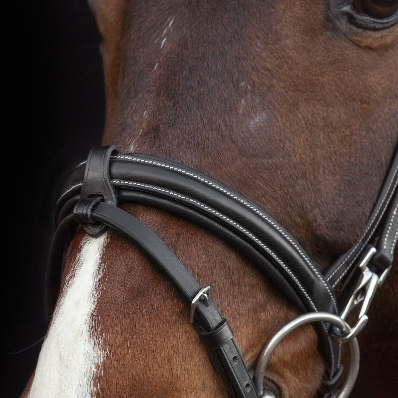 Schockemohle Sport - Dortmund Bridle