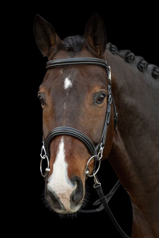 Schockemohle Sport - Dortmund Bridle