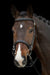 Schockemohle Sport - Dortmund Bridle