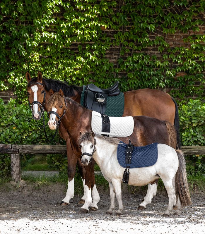 WALDHAUSEN SADDLE PAD FELIX