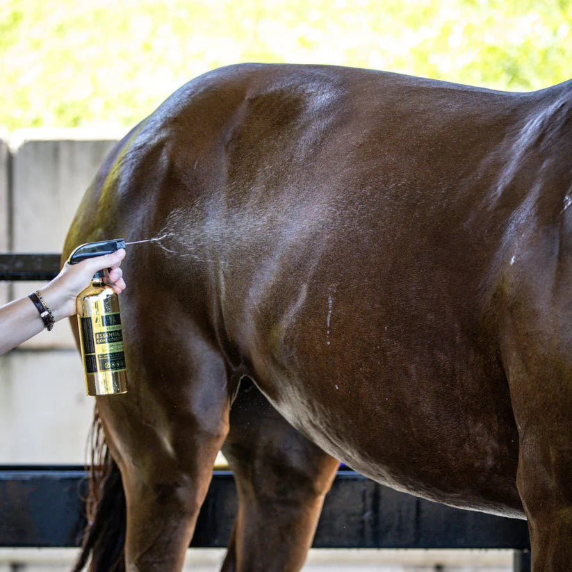Hairy Pony - Pre-Mixed Essential Oil Coat Conditioner