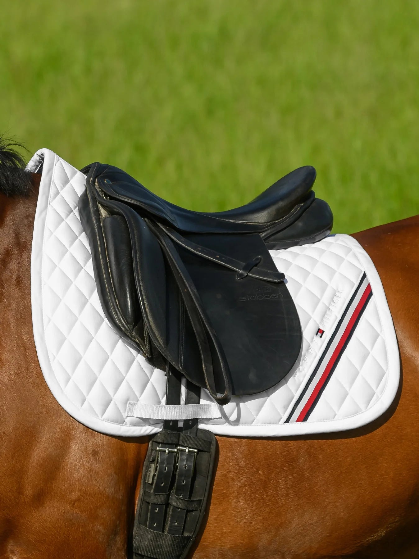 Tommy Hilfiger - Stanford Dressage Saddle Pad.