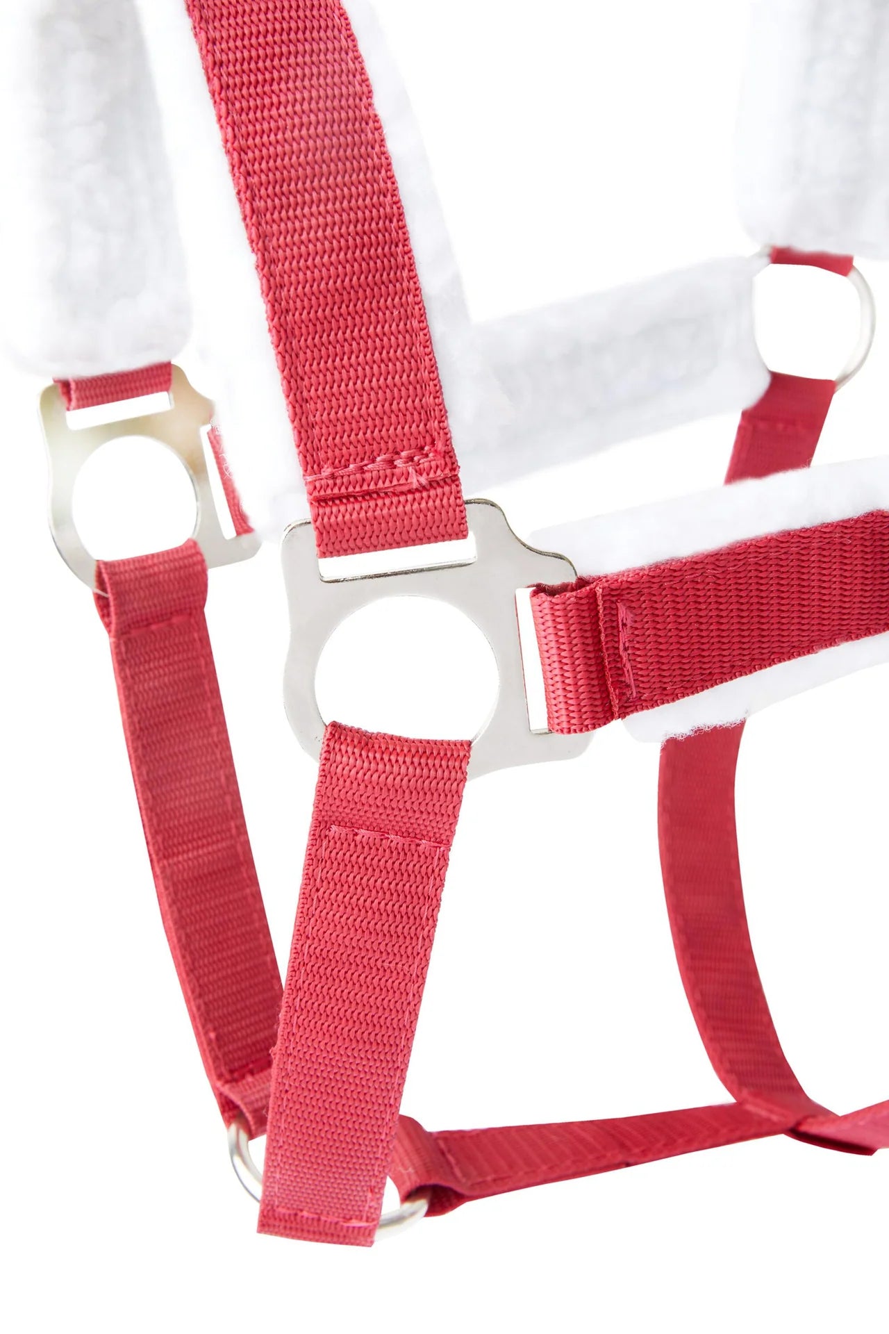 HZ CHRISTMAS HALTER