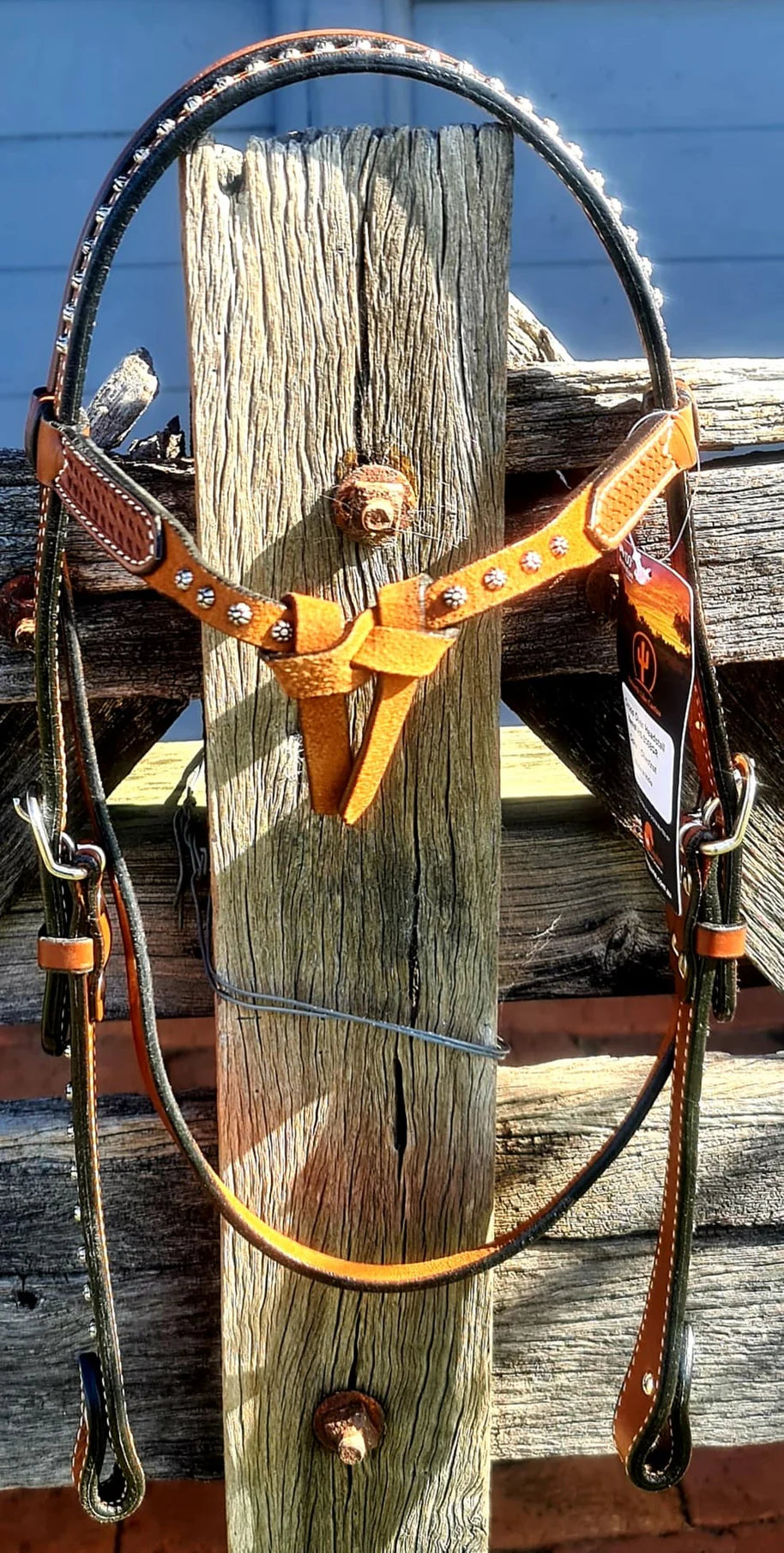 Smooth Like Cactus Futurity knot headstall with tooling and silver dots