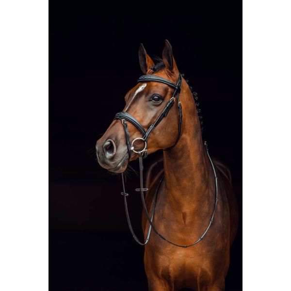 Horze Sion Bridle w Reins