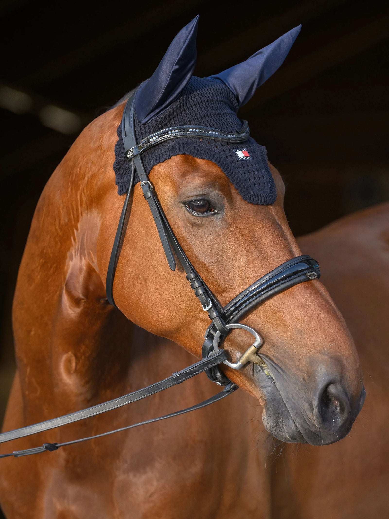 Tommy Hilfiger Lexington Ear Bonnet