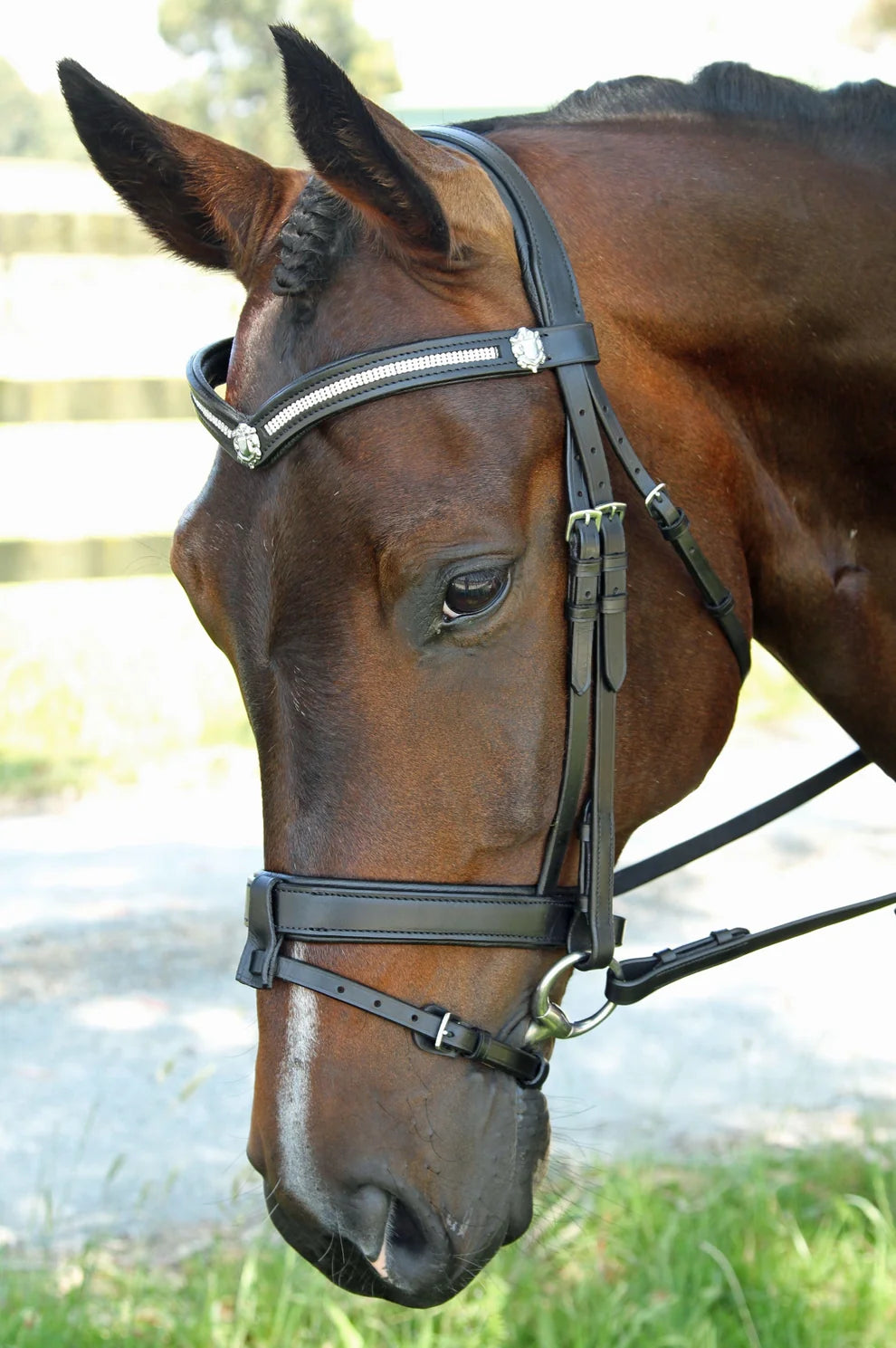 3 ROW V WITH SHEILDS SNAFFLE BRIDLE