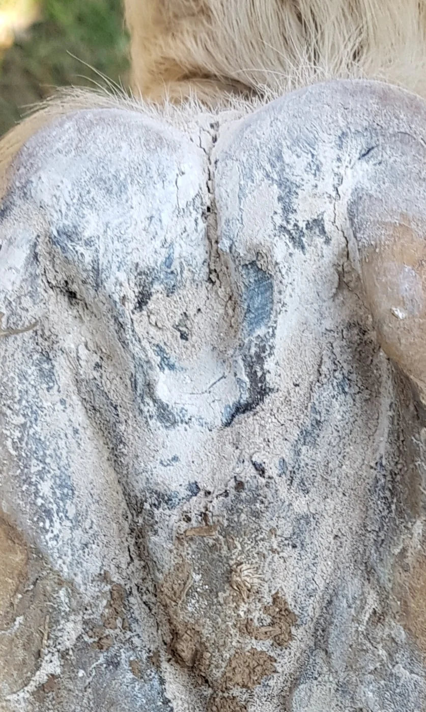 The Hoof Co - Hoof Powder