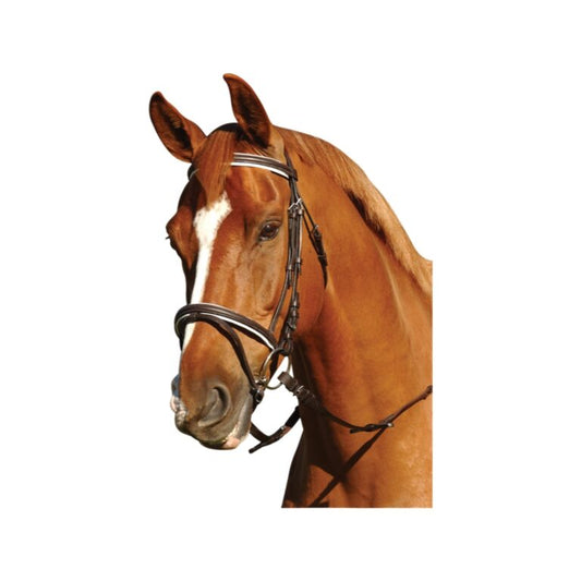 Eureka Eventing Bridle