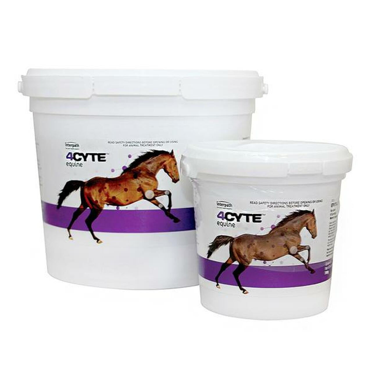 4CYTE Equine Granules.