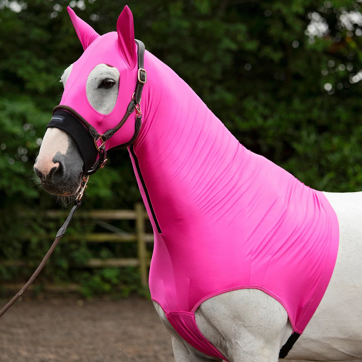 HorzeHood Skinny - With Ears.