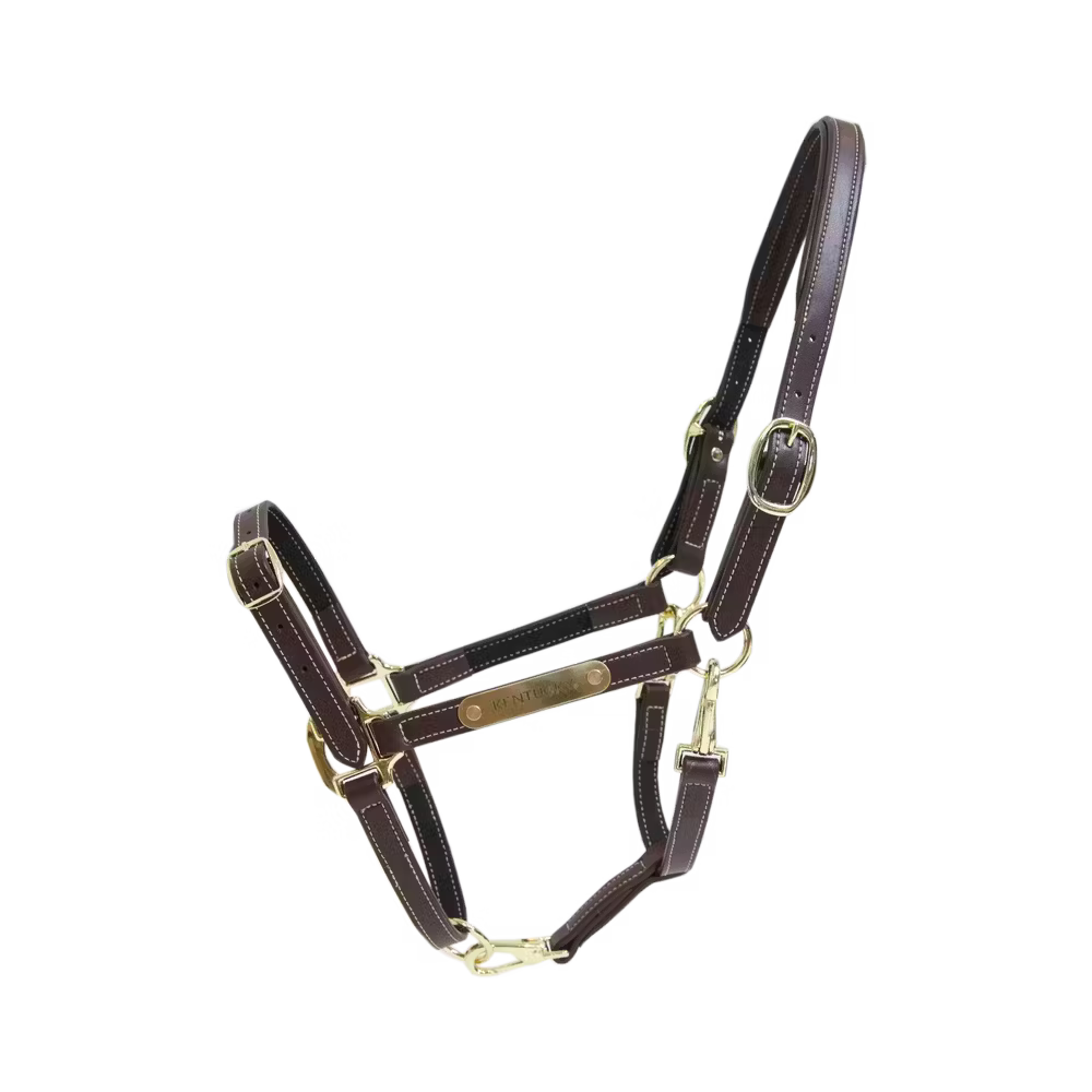 KENTUCKY LEATHER HALTER