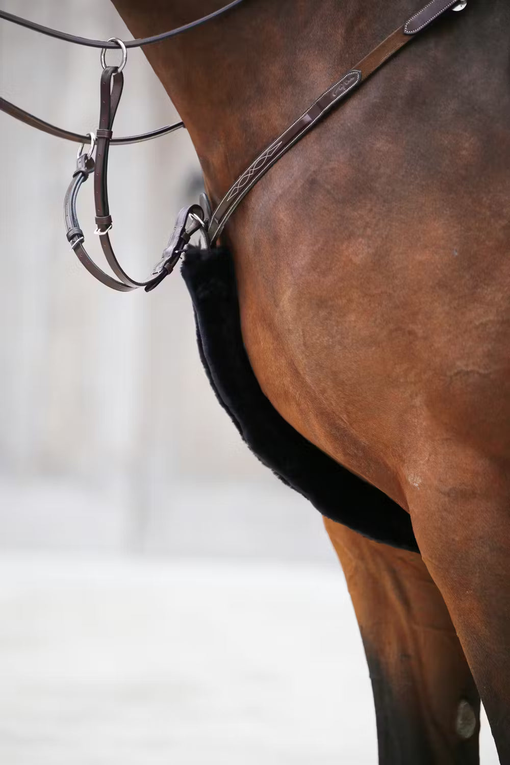 Kentucky Sheepskin Breastplate & Rein Cover.