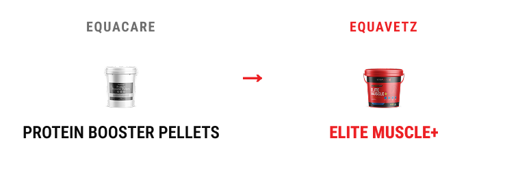 EquaVetz Elite Muscle +