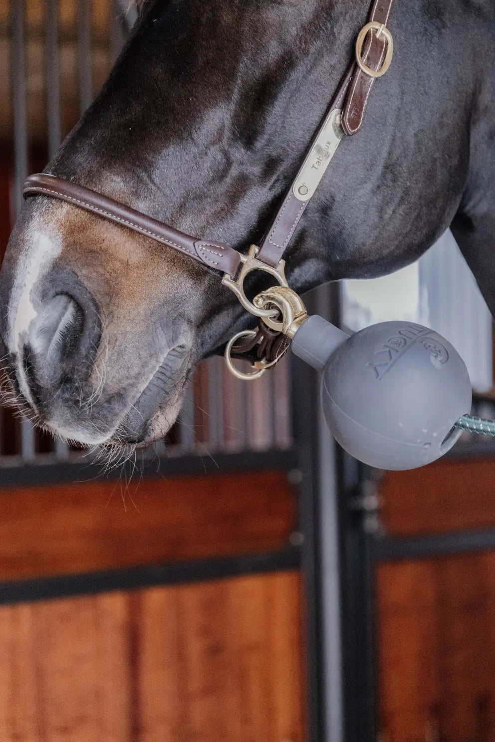 Kentucky Lead & wall Protection Rubber Ball