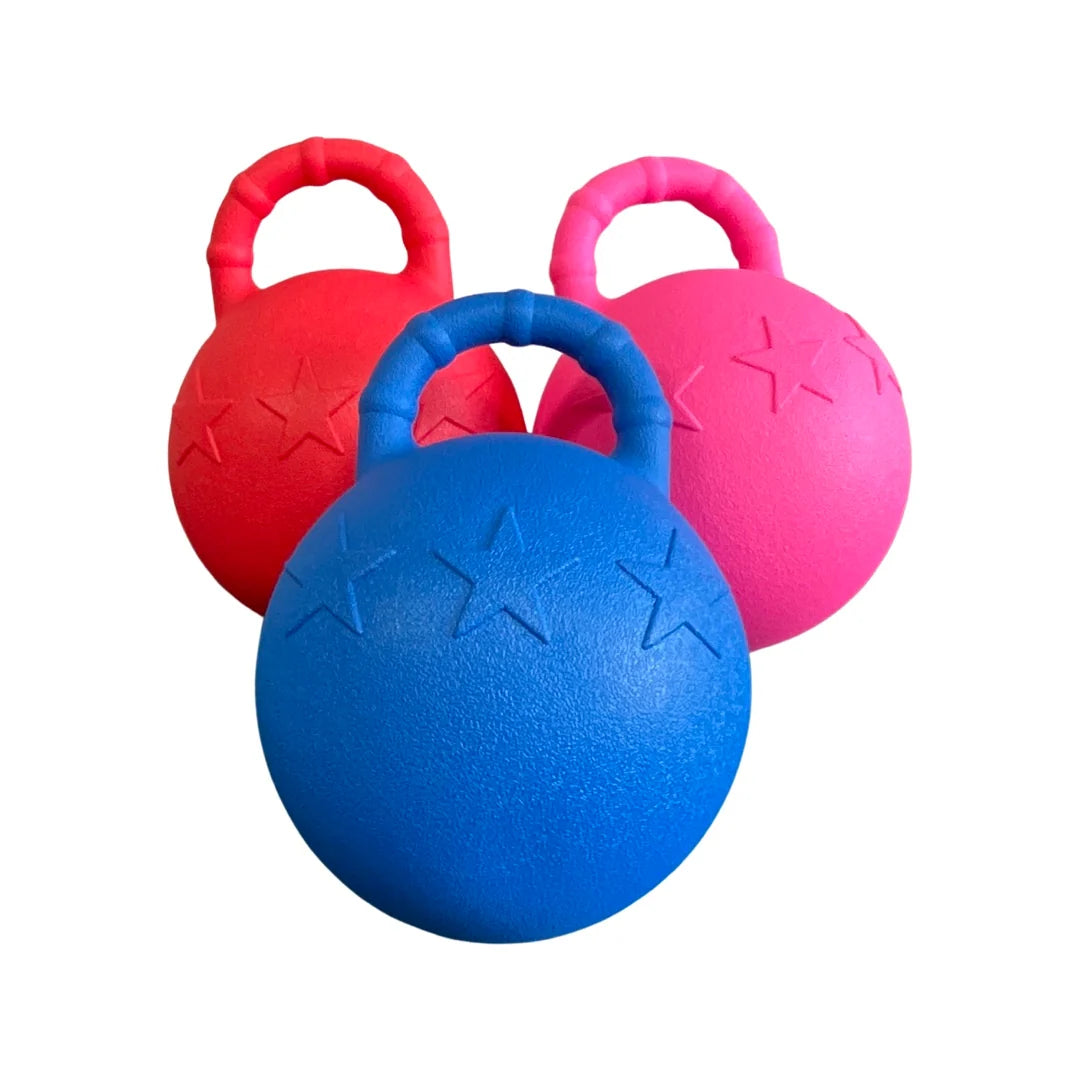 Horseplay Toy Ball