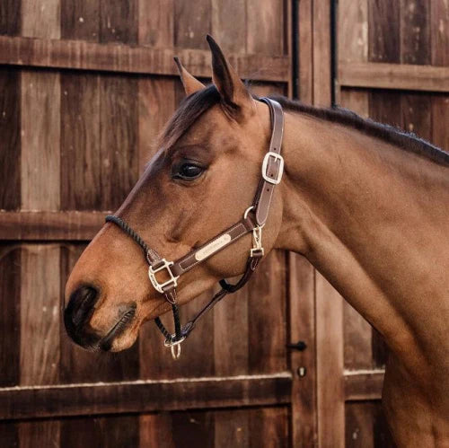 KENTUCKY LEATHER ROPE HALTER
