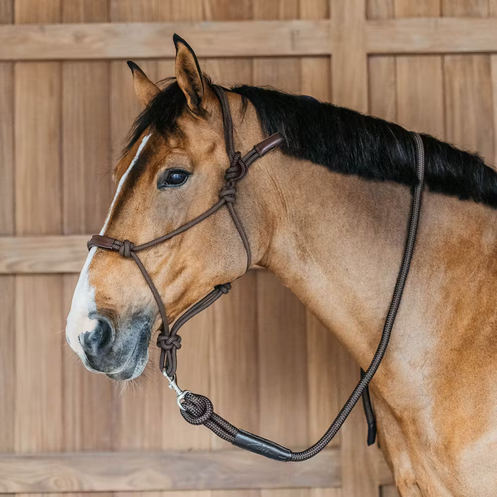 Dyon Training Halter