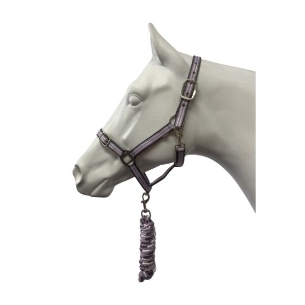 Eureka Halter & Lead