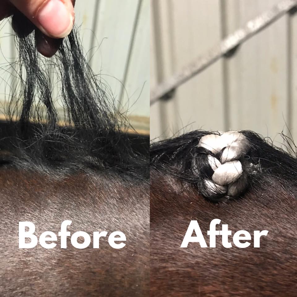 Hairy Pony - Fake It Mane and Tail Enhancement