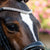 Lumiere Solitaire Crystal Browband