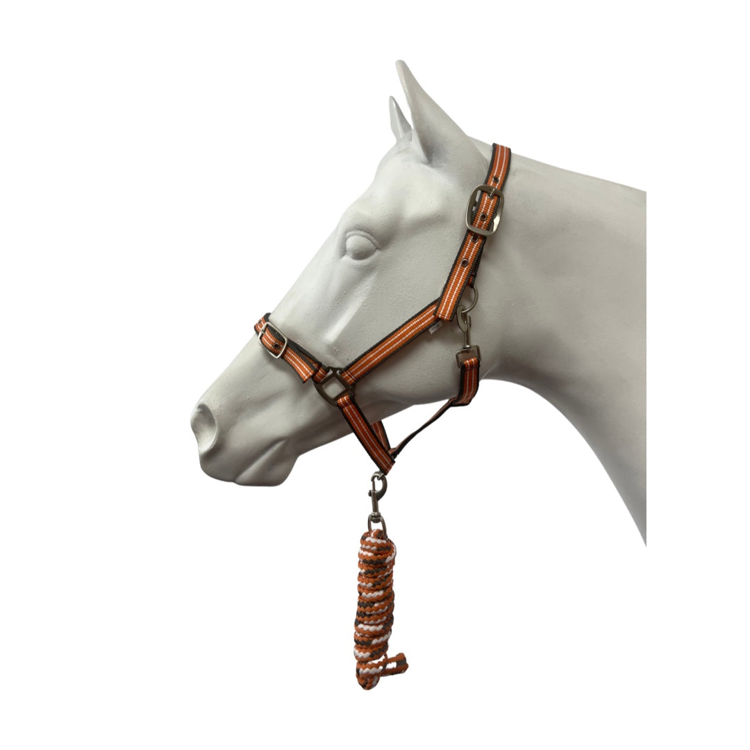 Eureka Halter & Lead