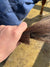 Hairy Pony - Horse Tail Trimming Scissors