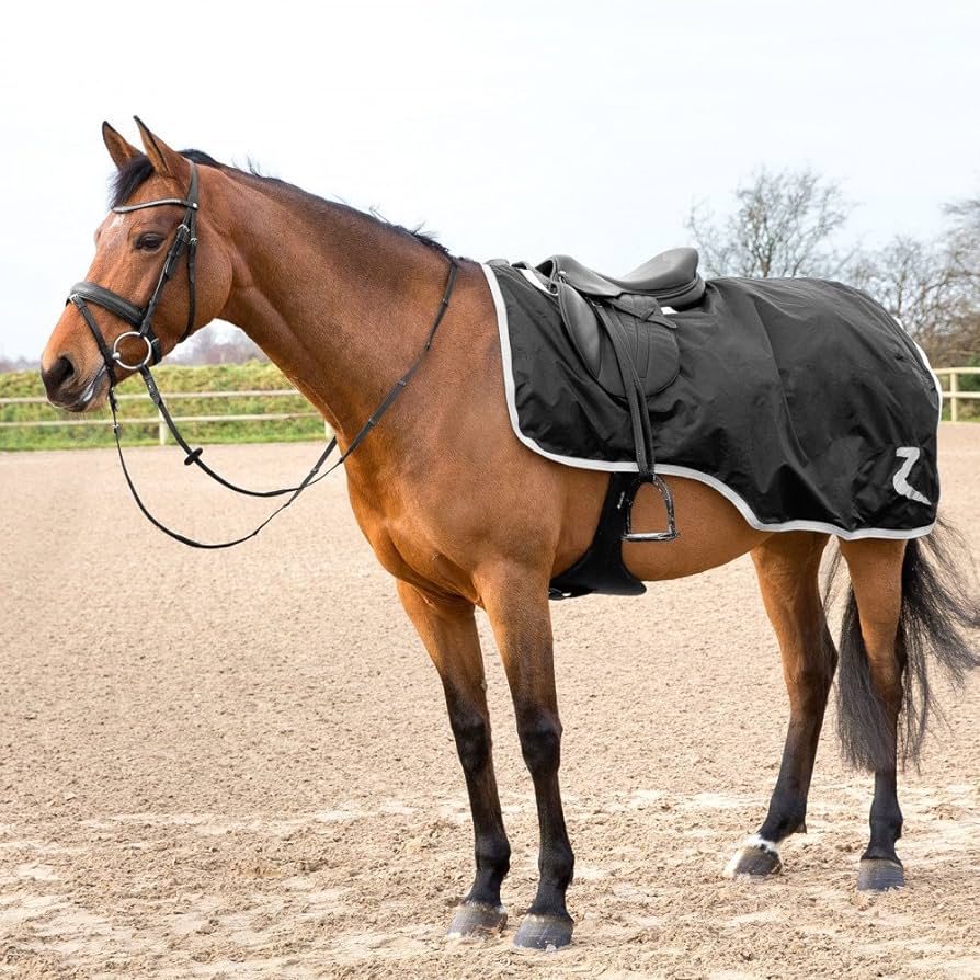 Weathertrek Riding Sheet