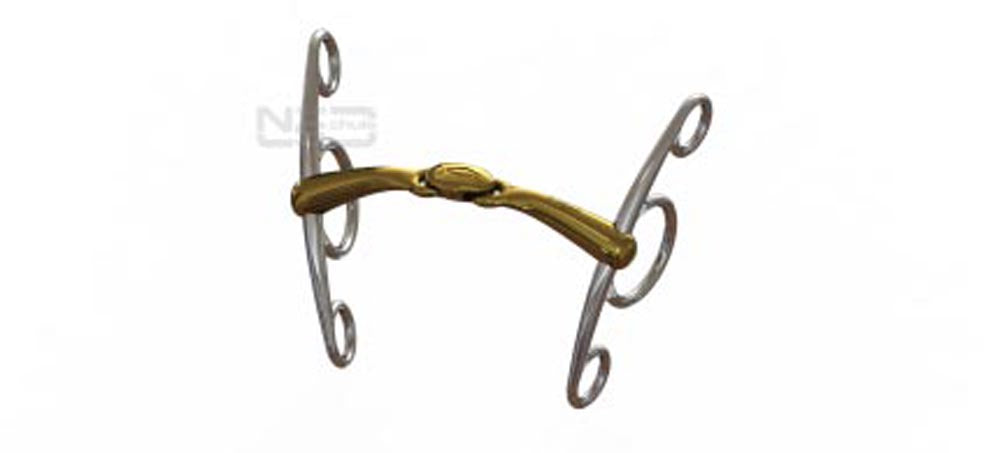 NEUE SCHULE TURTLE TOP ELEVATOR