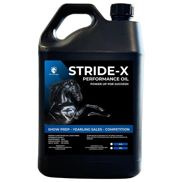 Stride-X