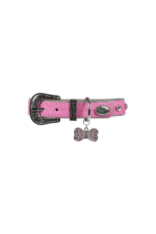 Tilly Dog Collar