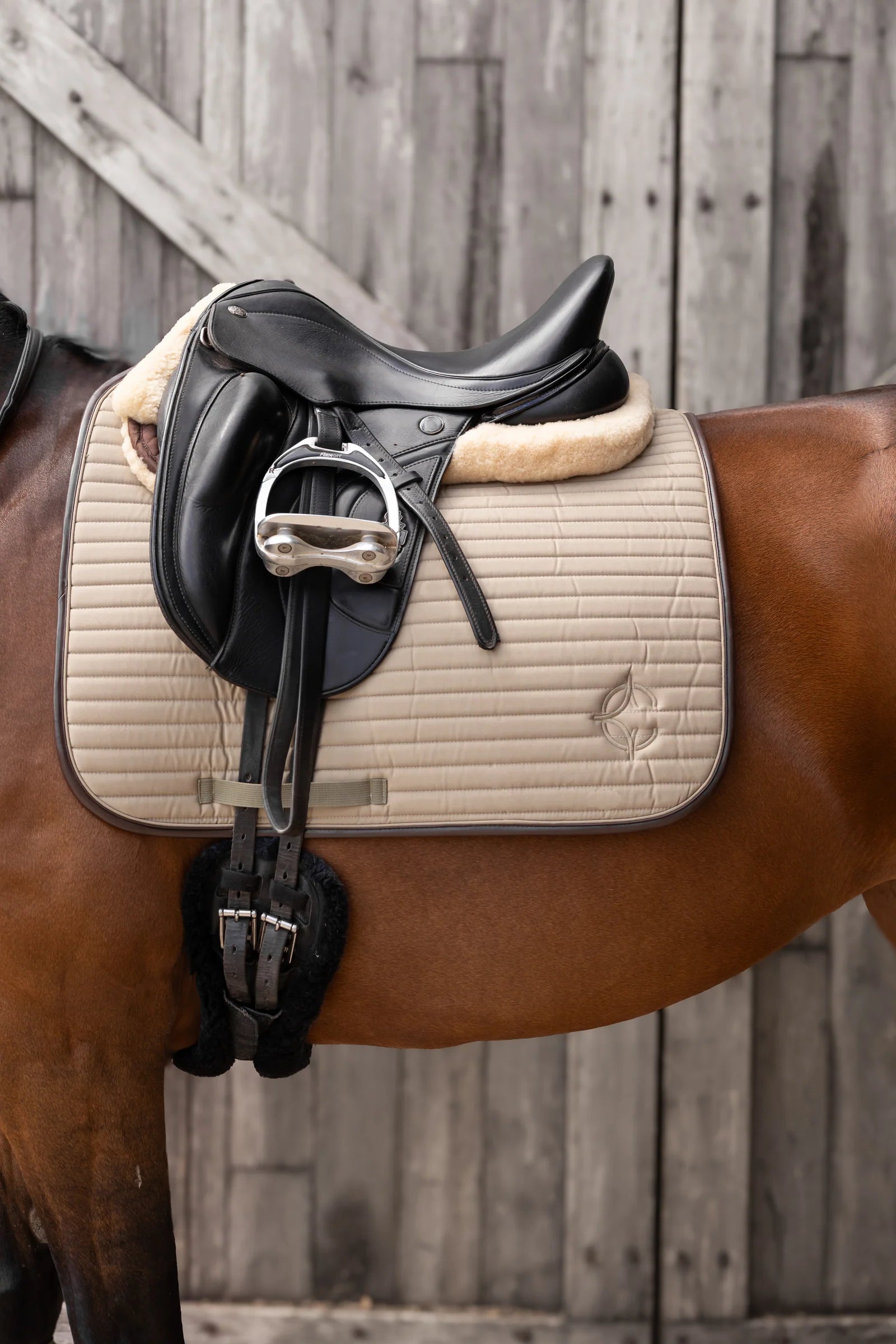 Stella Cavalla - Dressage Pad