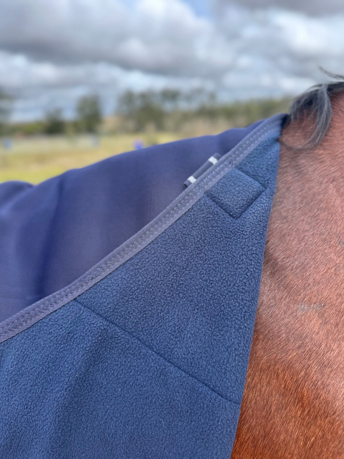 EquestPro Drying Rug