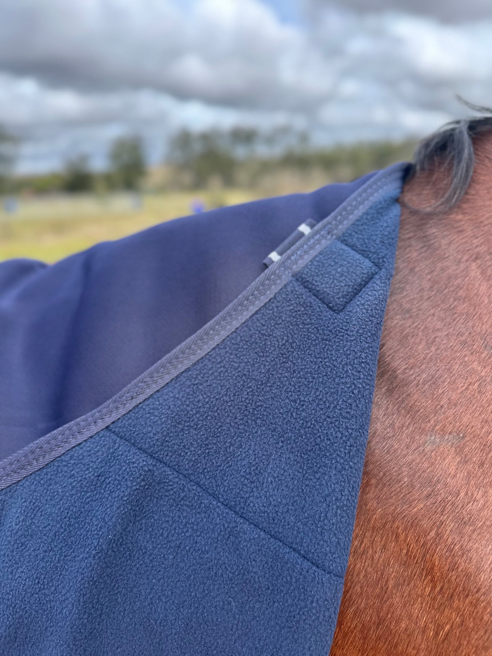 EquestPro Drying Rug