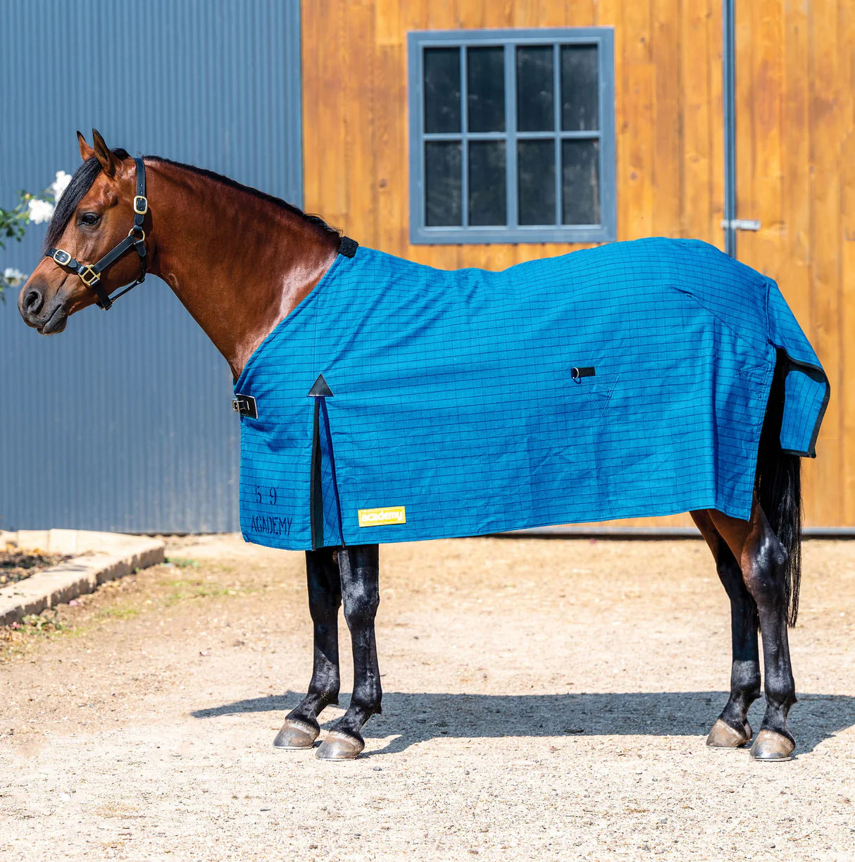 Academy Canvas Rug