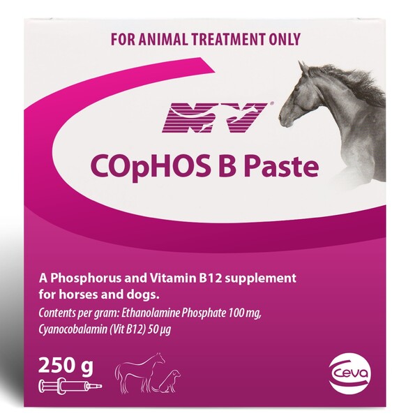 NV COPHOS B PASTE 250GM