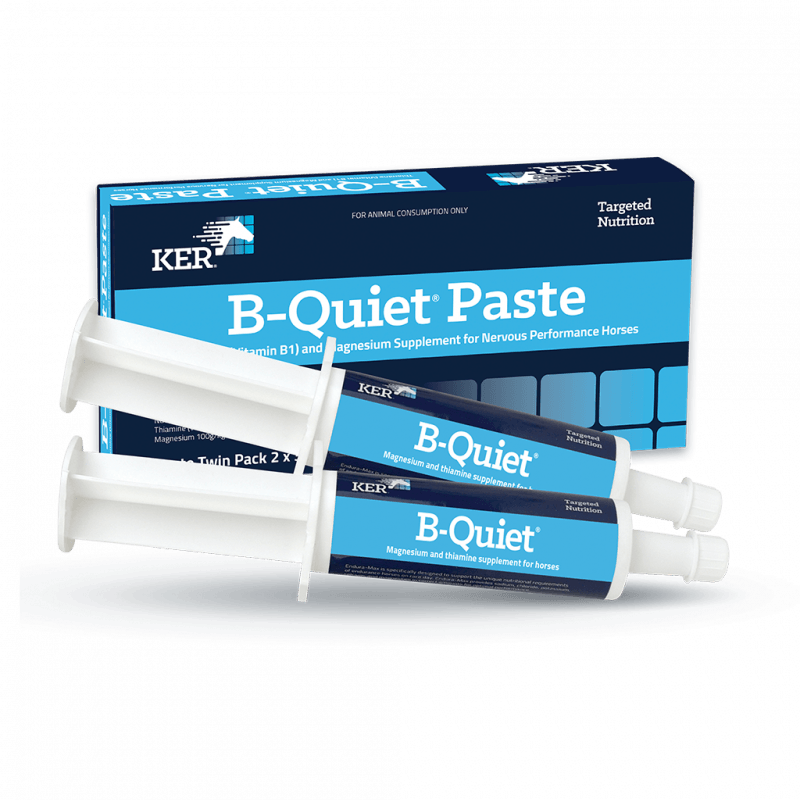 B-Quiet Paste