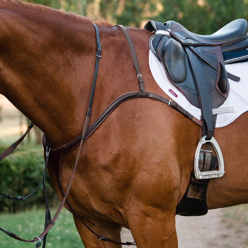 Lumiere Anka Breastplate.