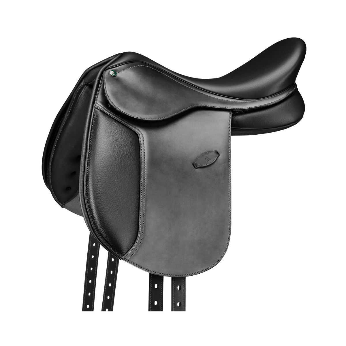 Arena Pony Dressage.