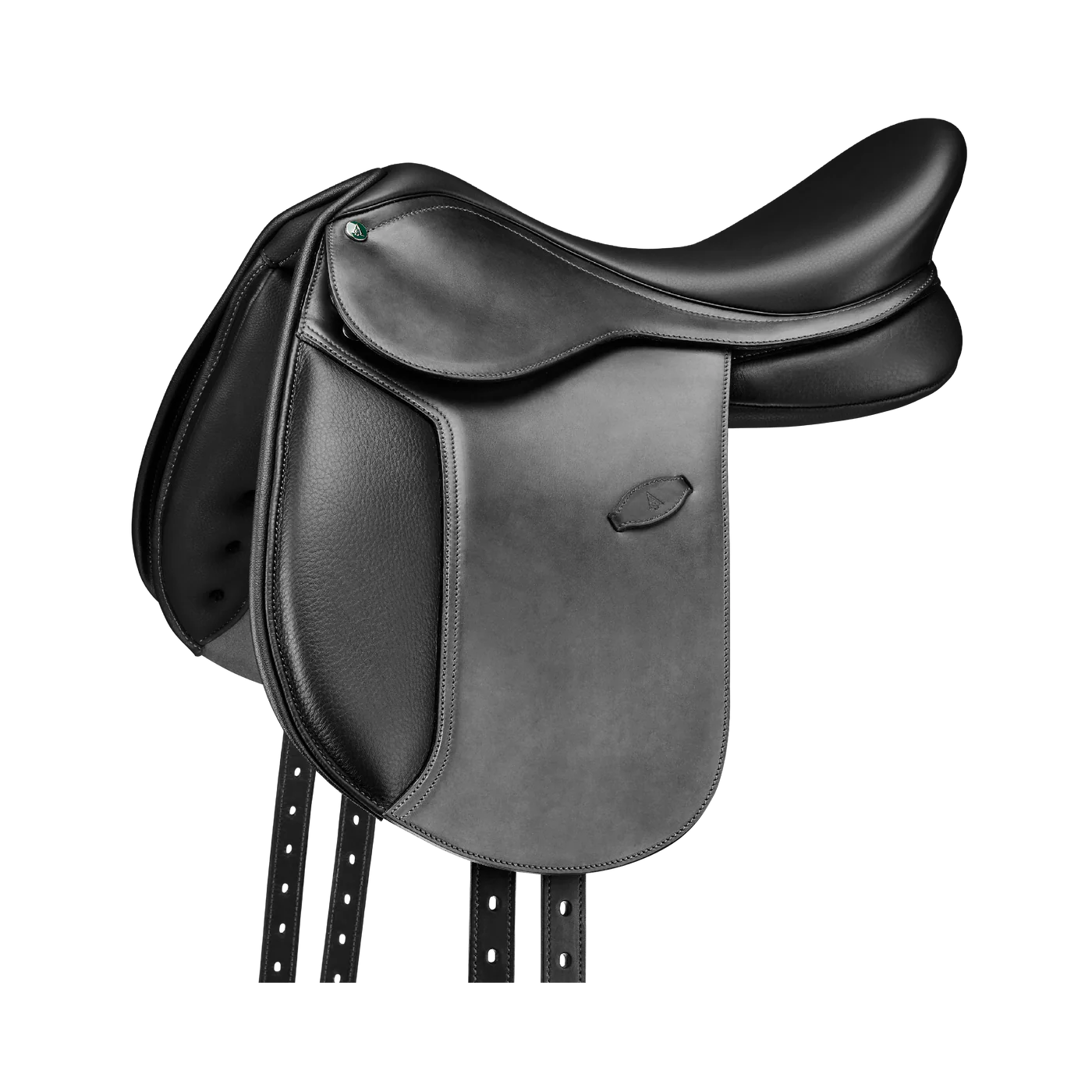 Arena Pony Dressage.