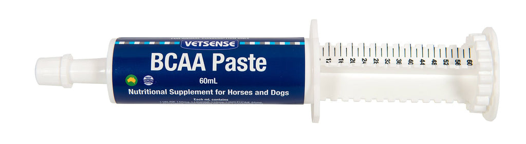 BCAA Paste 60ml