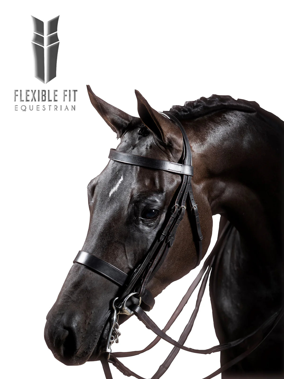Flexible Fit - Premium Double Show Bridle 'Eclipse'.
