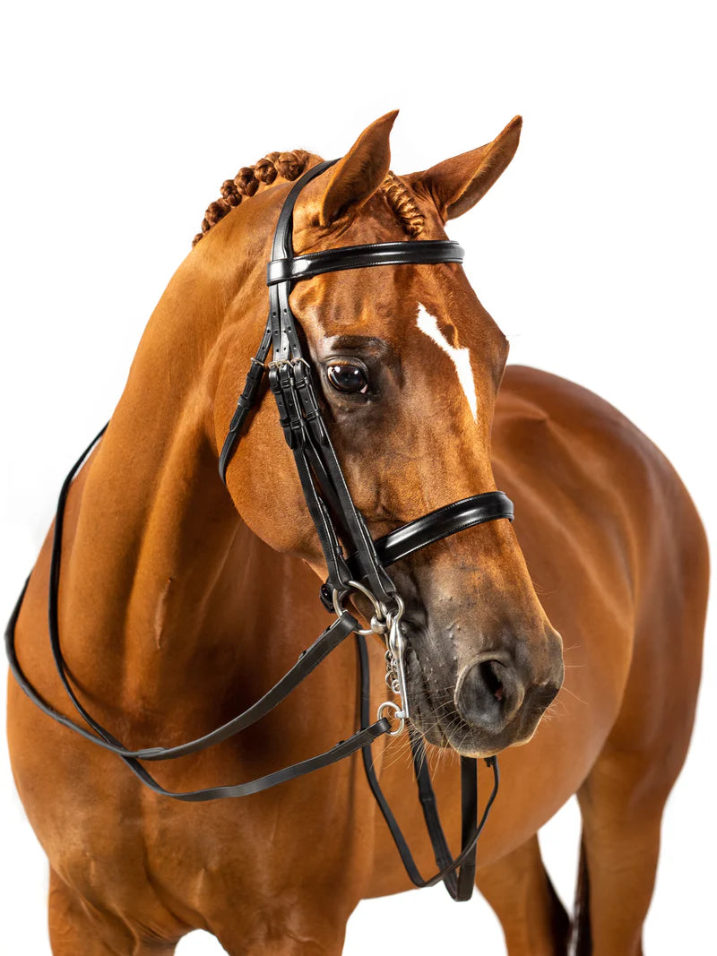 Flexible Fit Premium Black Double Show Bridle 'Glory'