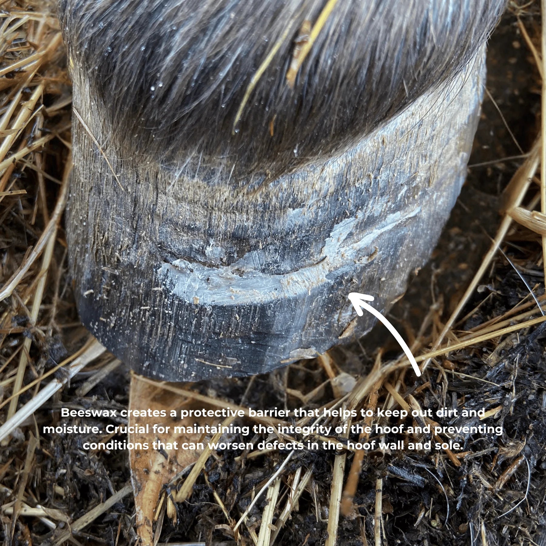 The Hoof Co - Beeswax Balls