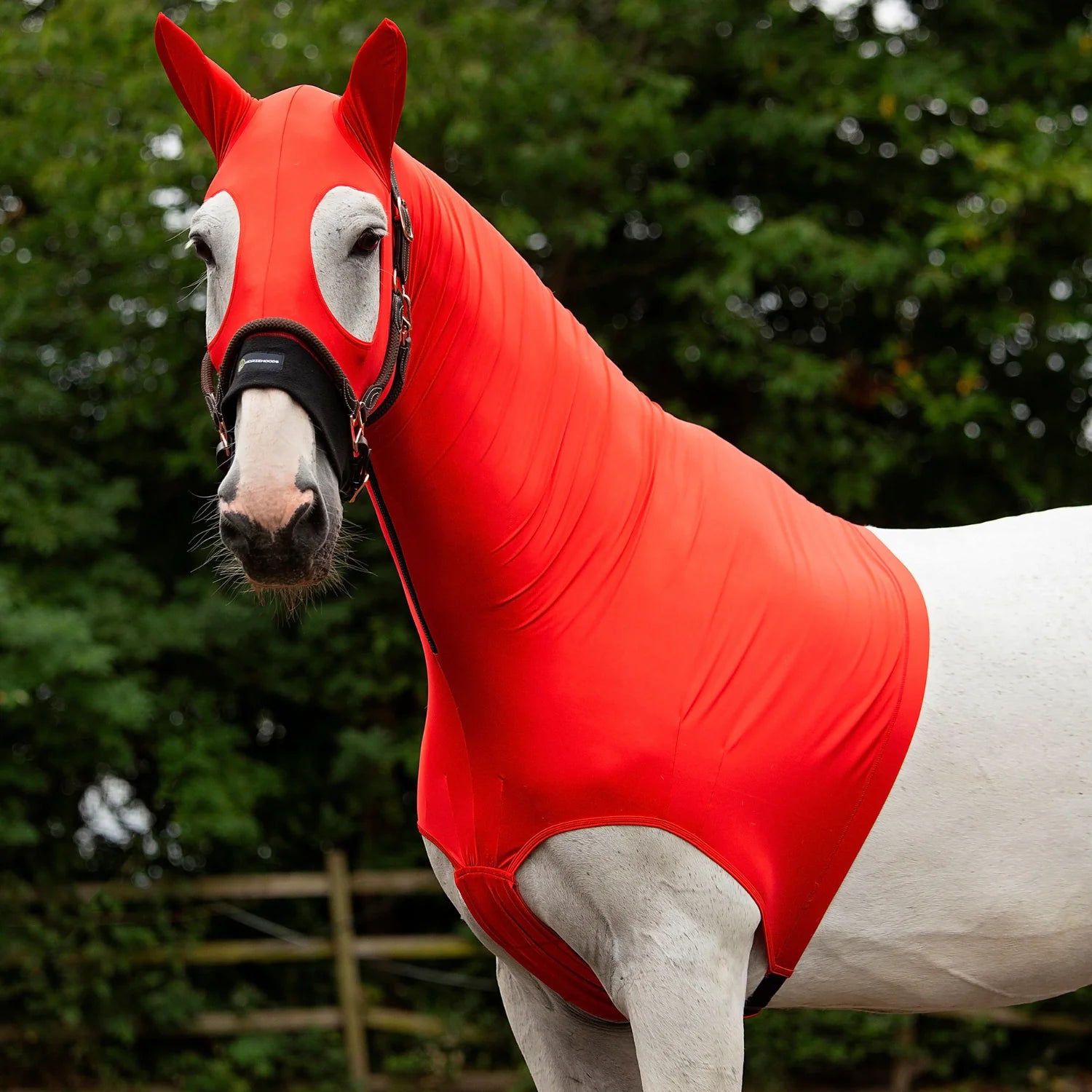 HorzeHood Skinny - With Ears.